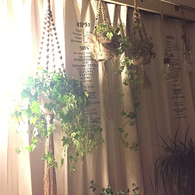 kiyomiさんの実例写真