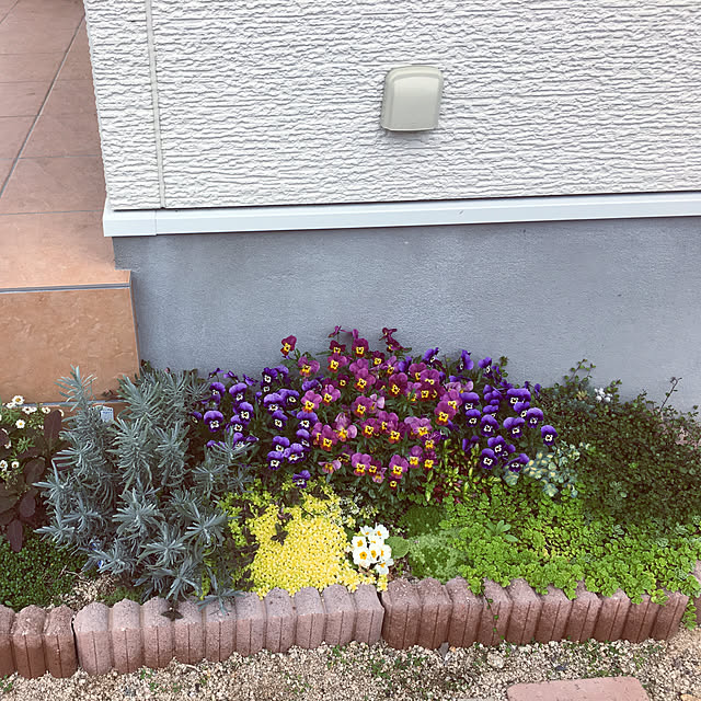 実例写真