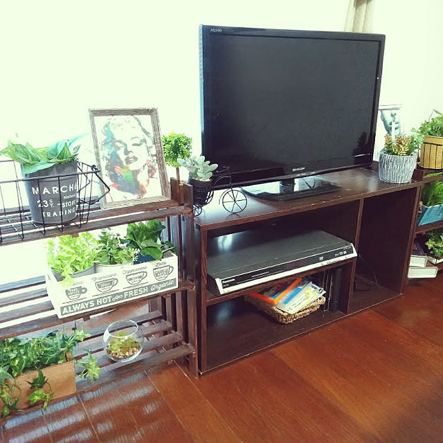 リビング/DIY/観葉植物/セリア/多肉植物...などのインテリア実例 - 2021-02-02 09:45:34