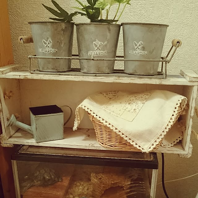misaさんの実例写真