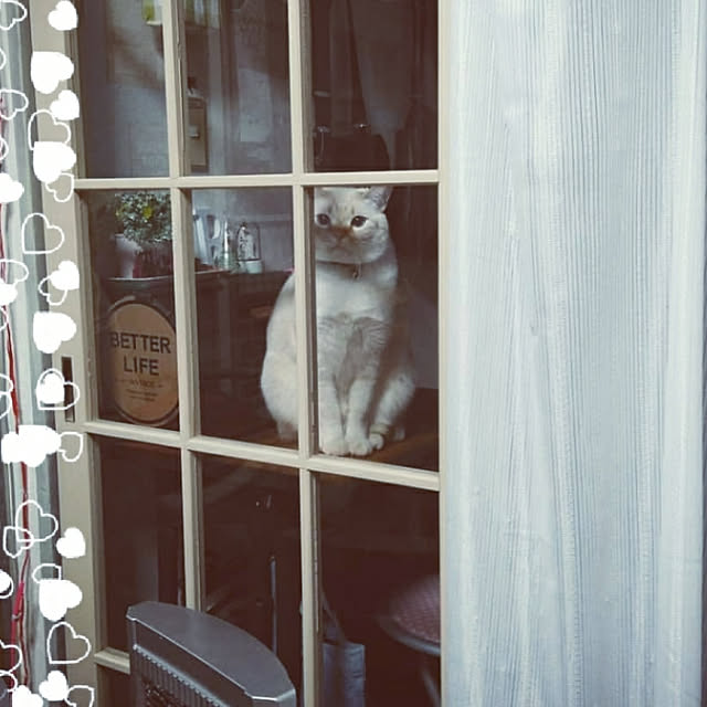 mntcさんの実例写真