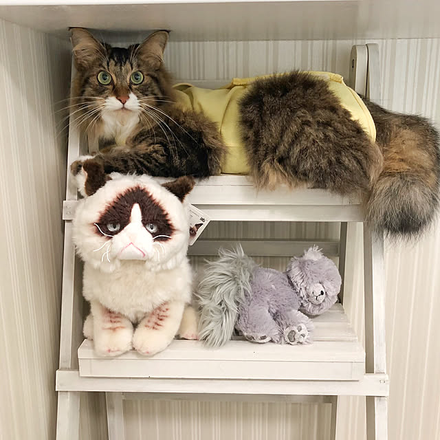yuchiさんの実例写真