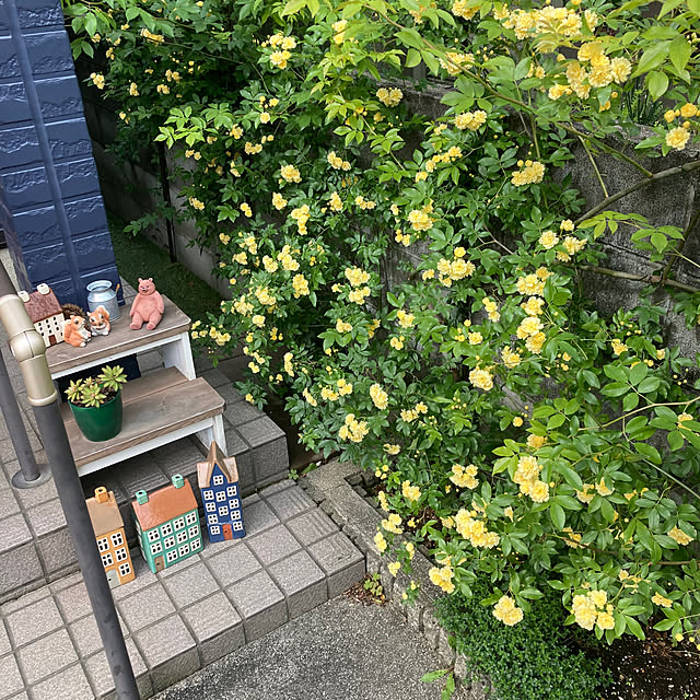 FUJICOさんの実例写真