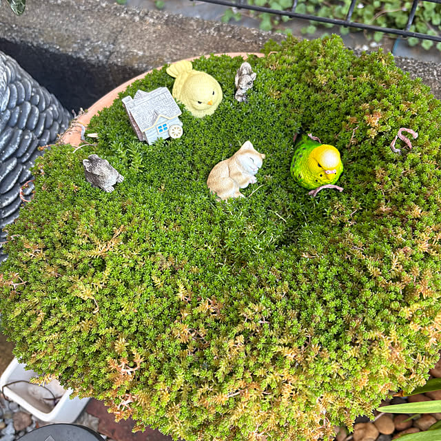 nannoさんの実例写真