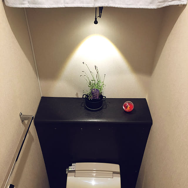 Takaさんの実例写真
