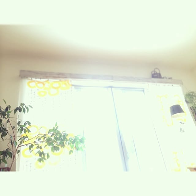 Akikoさんの実例写真