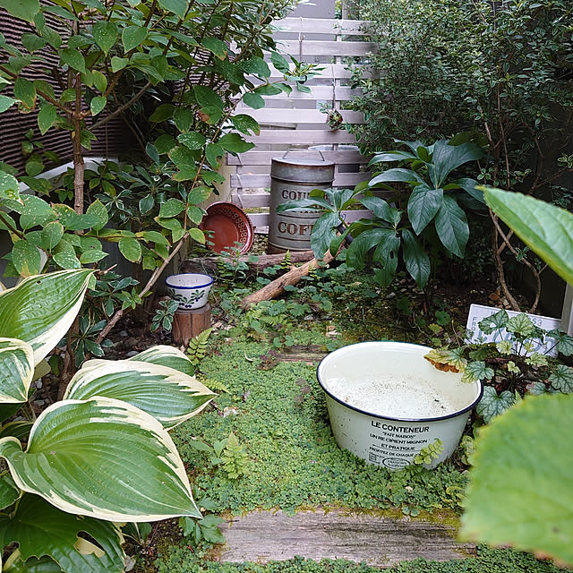 demetanさんの実例写真