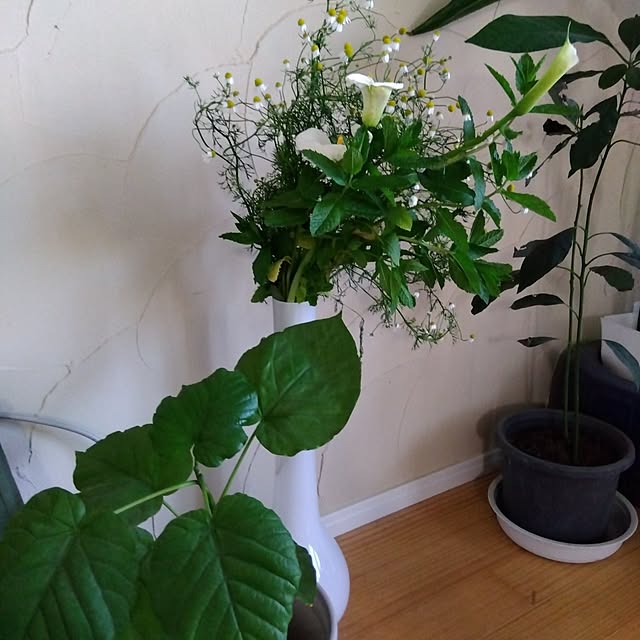 coco1204さんの部屋