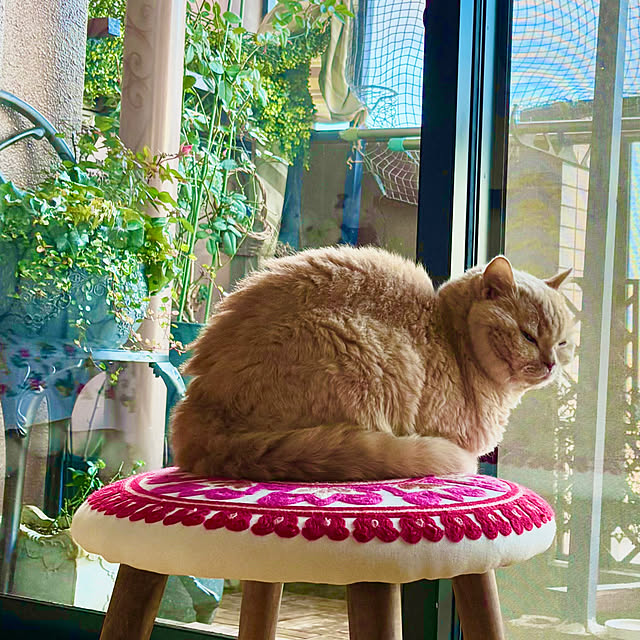 naokoさんの部屋