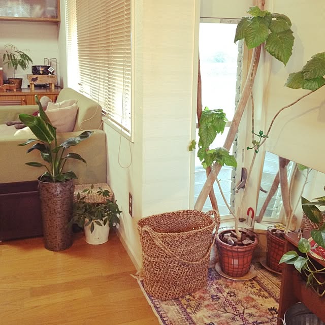 botanさんの実例写真
