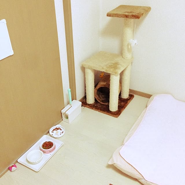 Kumiさんの実例写真