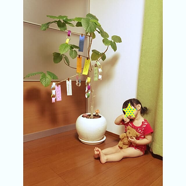 nico73さんの実例写真