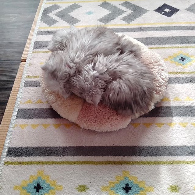 makaronさんの部屋