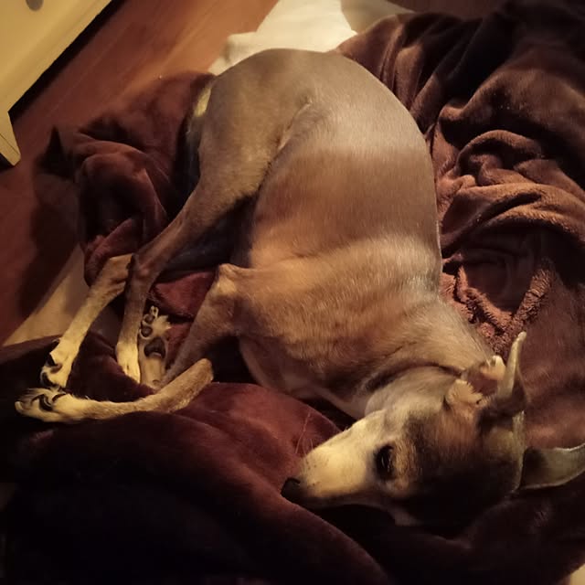 moruさんの部屋