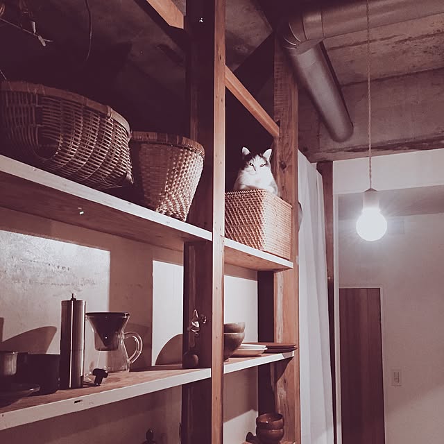 yunさんの実例写真