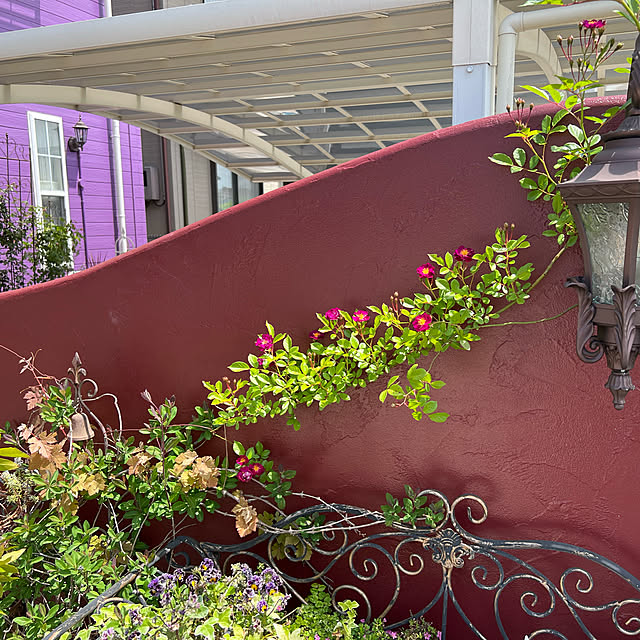 AYUKOさんの実例写真