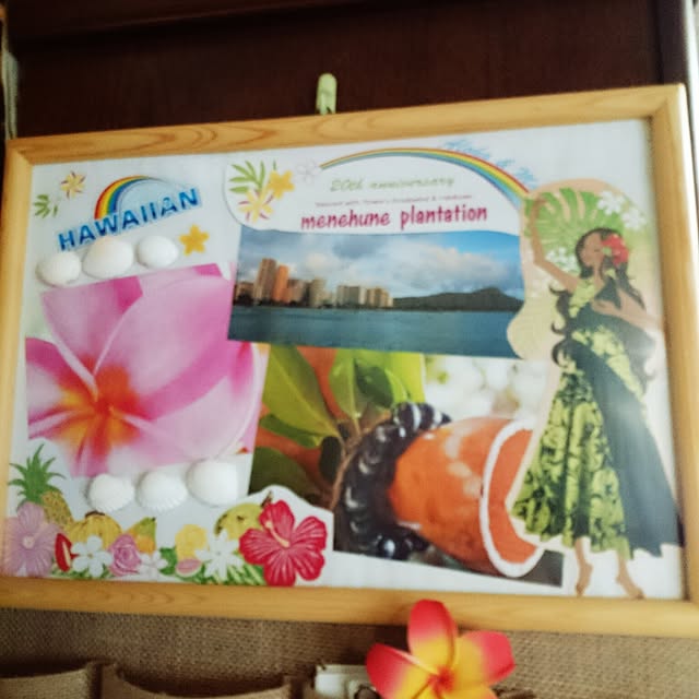 plumeriaさんの実例写真