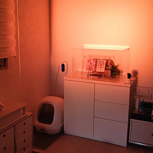 saki++さんの部屋