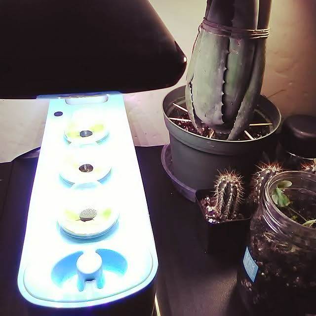 peace808さんの実例写真