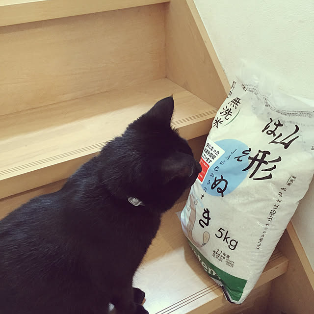 haacyuさんの実例写真