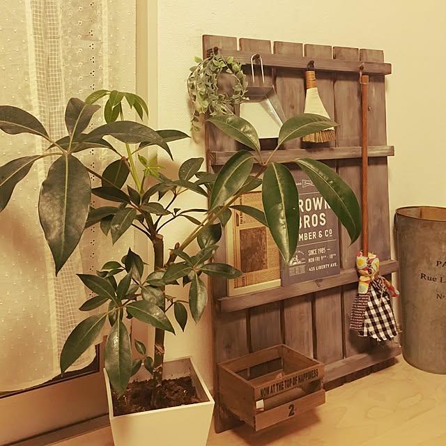 miikoさんの実例写真