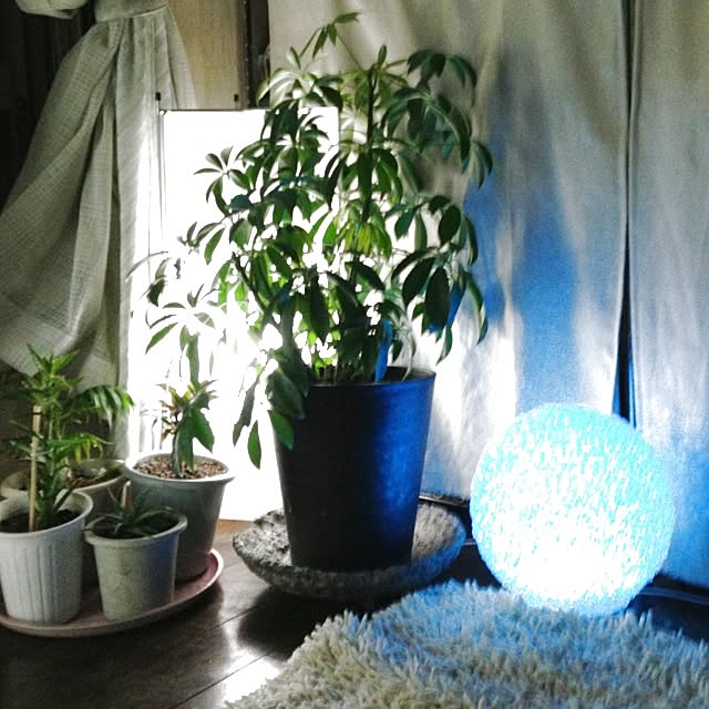 実例写真
