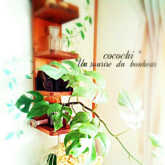 cocochiさんの実例写真
