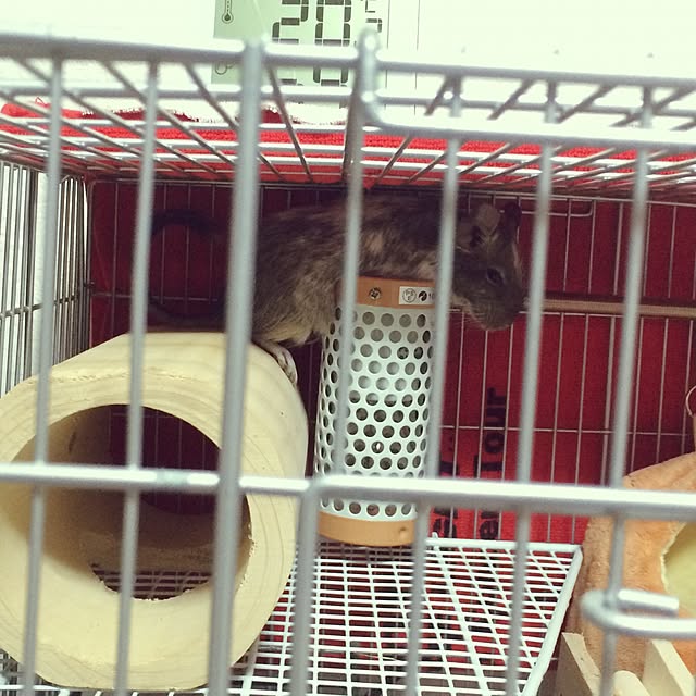 kentarouさんの実例写真