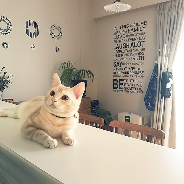 hiyupan88さんの実例写真