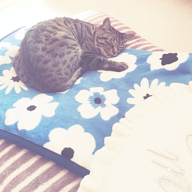 Kanaさんの実例写真