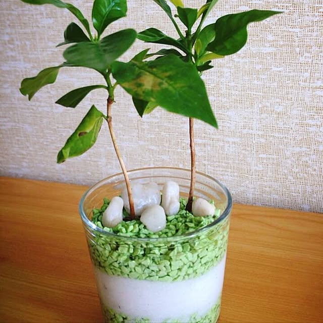 tzaiwah85さんの実例写真
