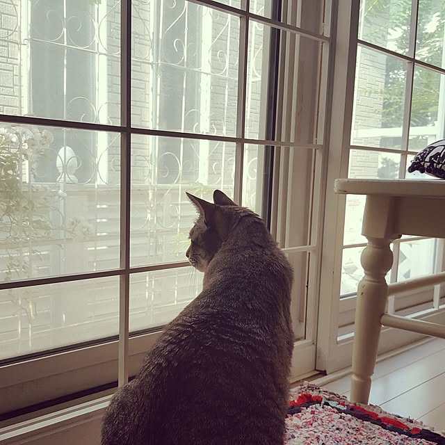 neoさんの実例写真