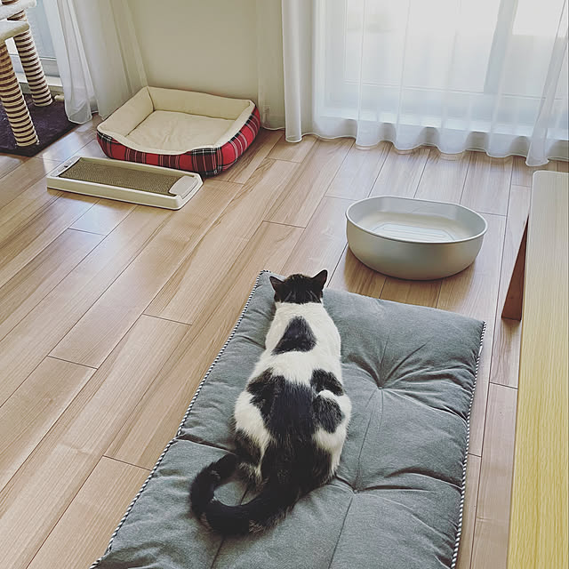 hemukoさんの実例写真