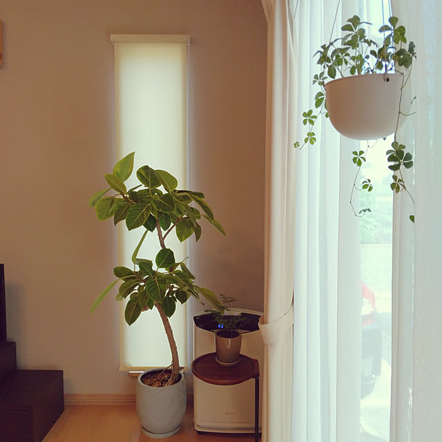 mii-sanさんの実例写真