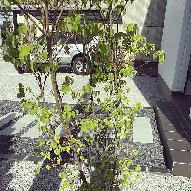 e_.さんの実例写真