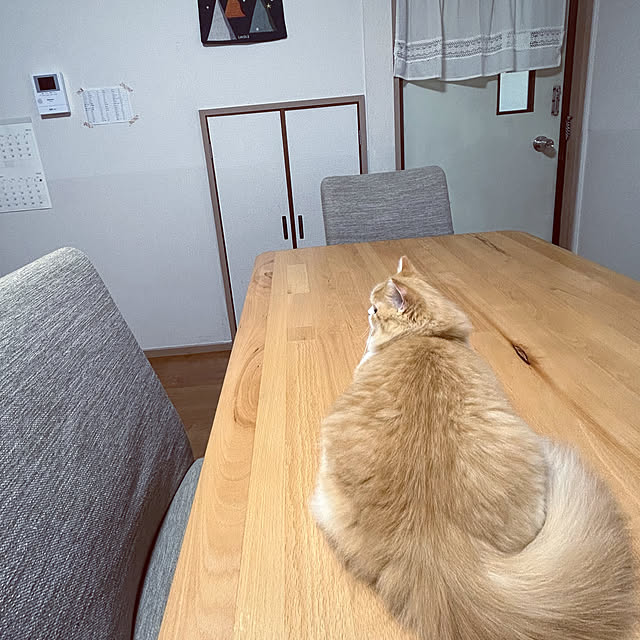 junさんの実例写真