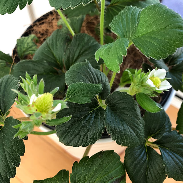 azureさんの部屋