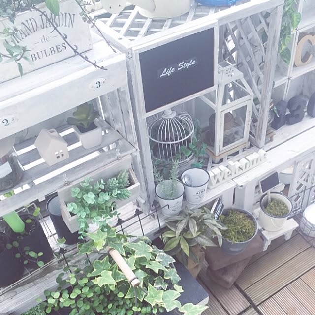 cocoaさんの実例写真