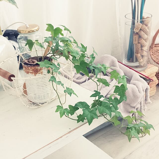 Ayaさんの実例写真