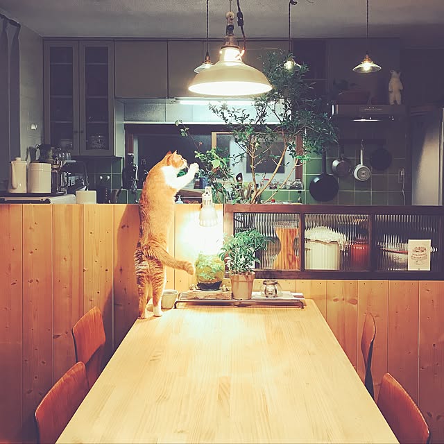 akaneさんの実例写真