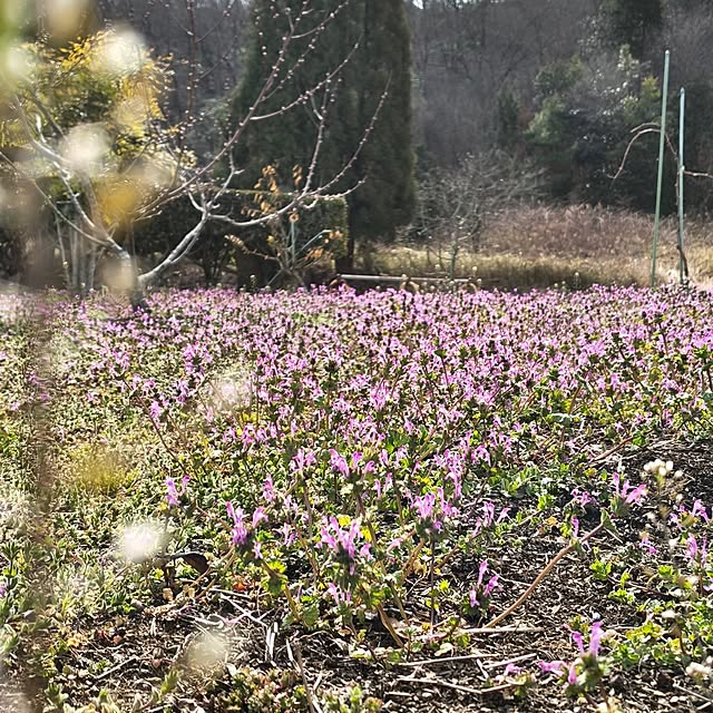 Rubiconさんの部屋