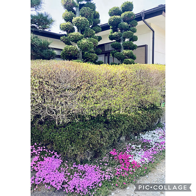 CoCo0617さんの実例写真