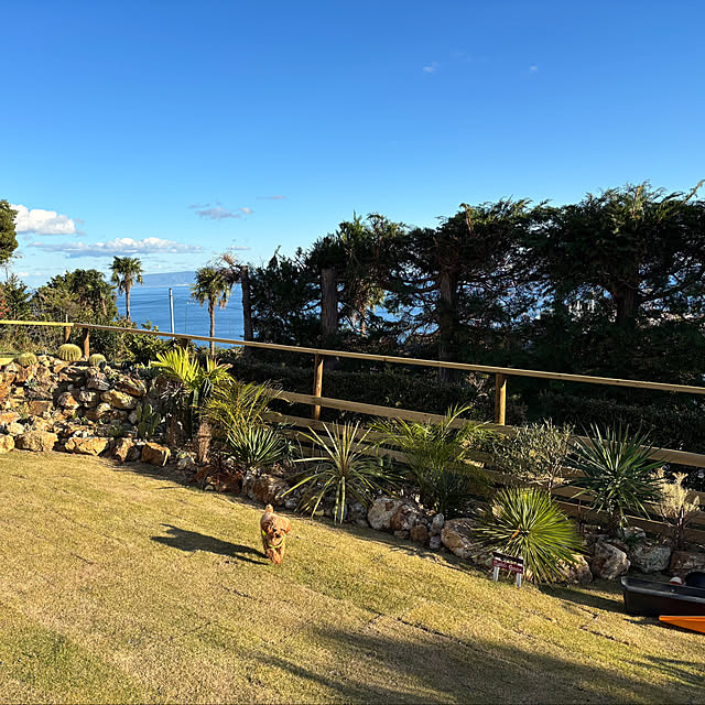 bonjiri0824さんの実例写真