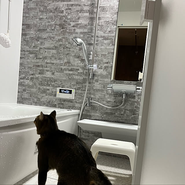 surfさんの実例写真