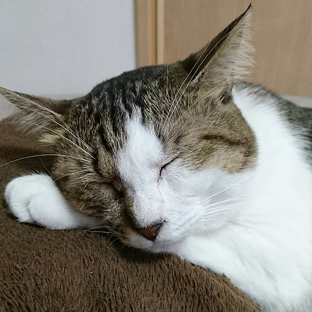 N-Factoryさんの実例写真