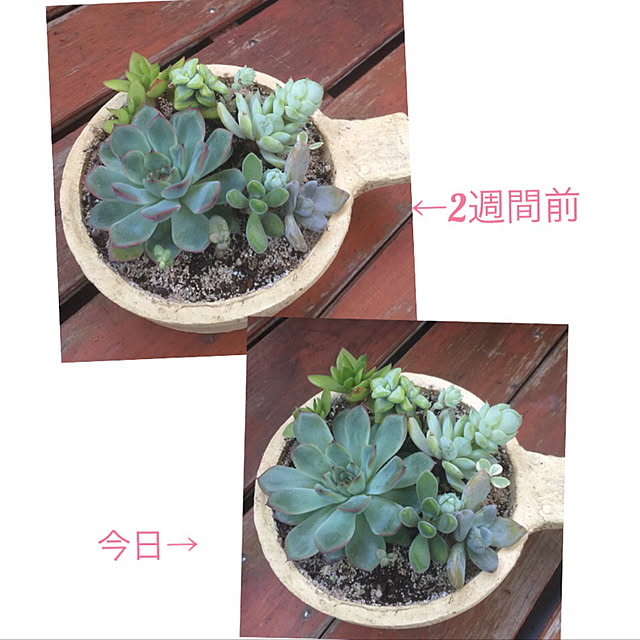 kojiro120513さんの実例写真