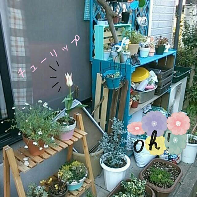 hitomi_kokirinoさんの部屋