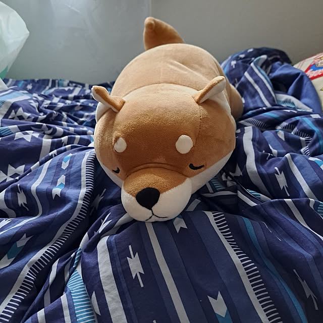 glanma.0819さんの実例写真