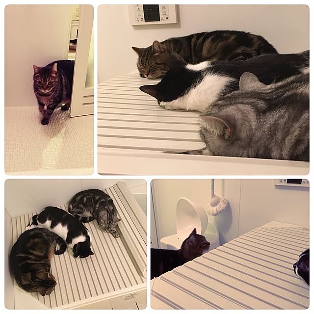 mikomaruさんの実例写真