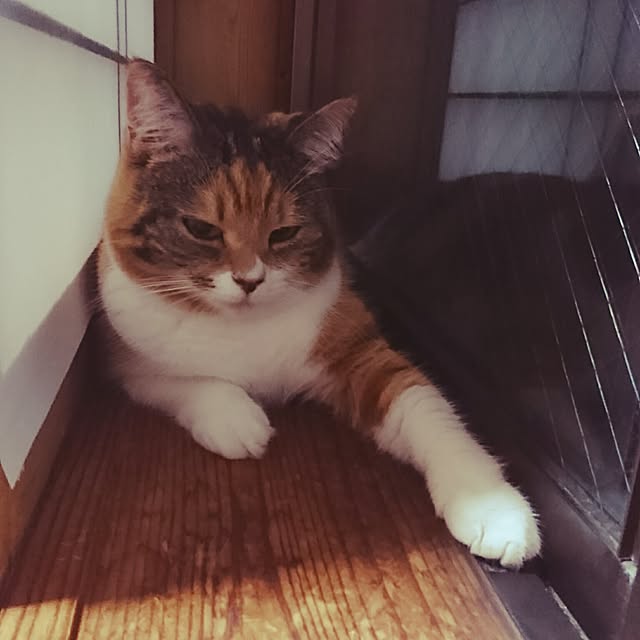 yukieさんの実例写真